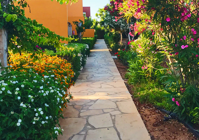 flower gardening